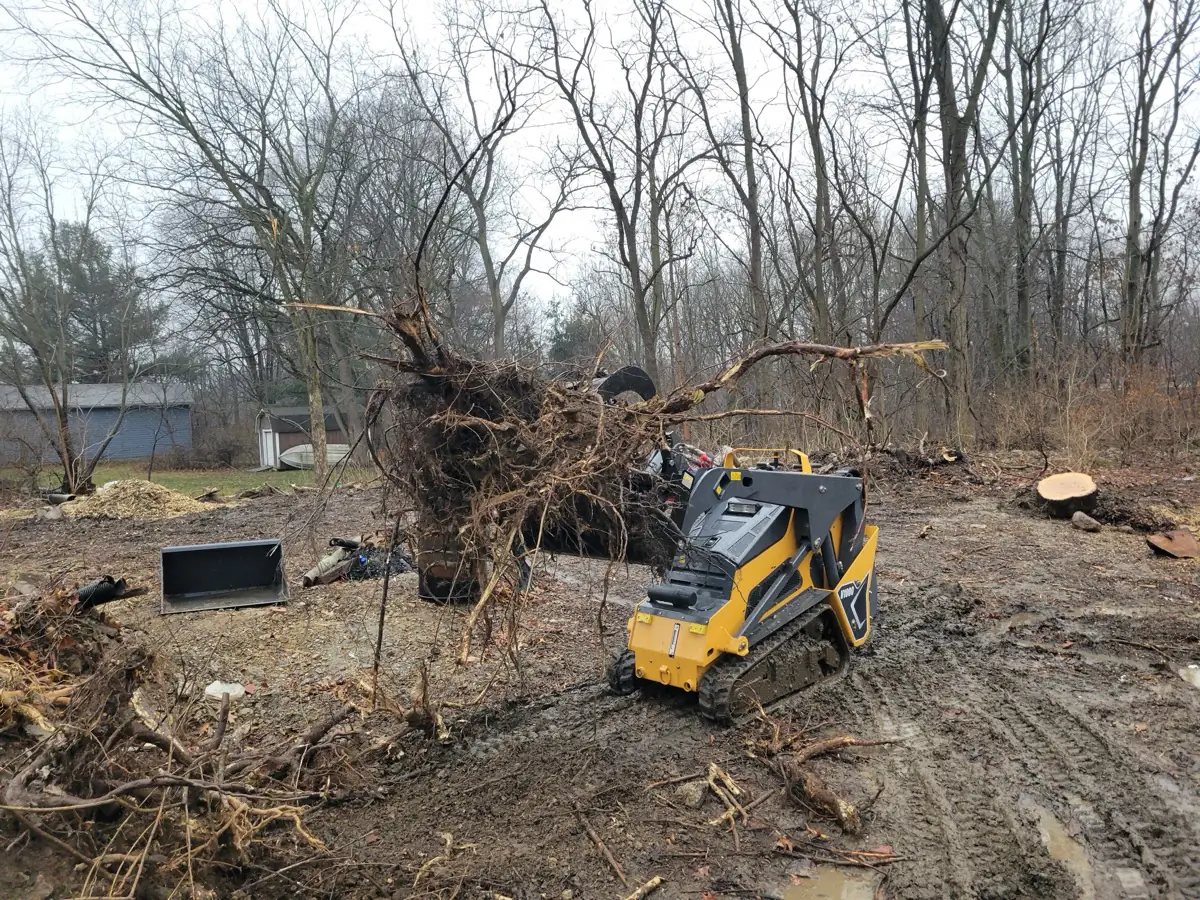 Compact track loader lifting an uprooted stump and root ball on a cleared lot